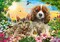 500 Piece Jigsaw Puzzle, Best Pals, Cats and Dogs, Animal puzzles, sweety Puppy and Kitten, Adult Puzzles, Castorland B-53728